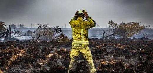 Waldbrand in Belgien: Einsatzkräfte kämpfen darum, Brände zurückzudrängen