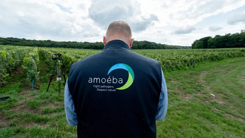 Son action ne vaut plus que 30 centimes: après 15 ans de galère, cette entreprise française croit enfin tenir son invention miracle pour remplacer les pesticides par des amibes