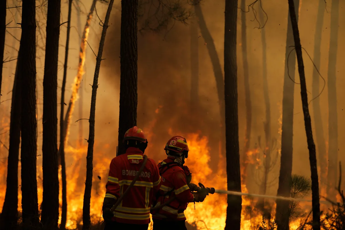 Mais de 800 operacionais combatem dois incêndios em Proença-a-Nova