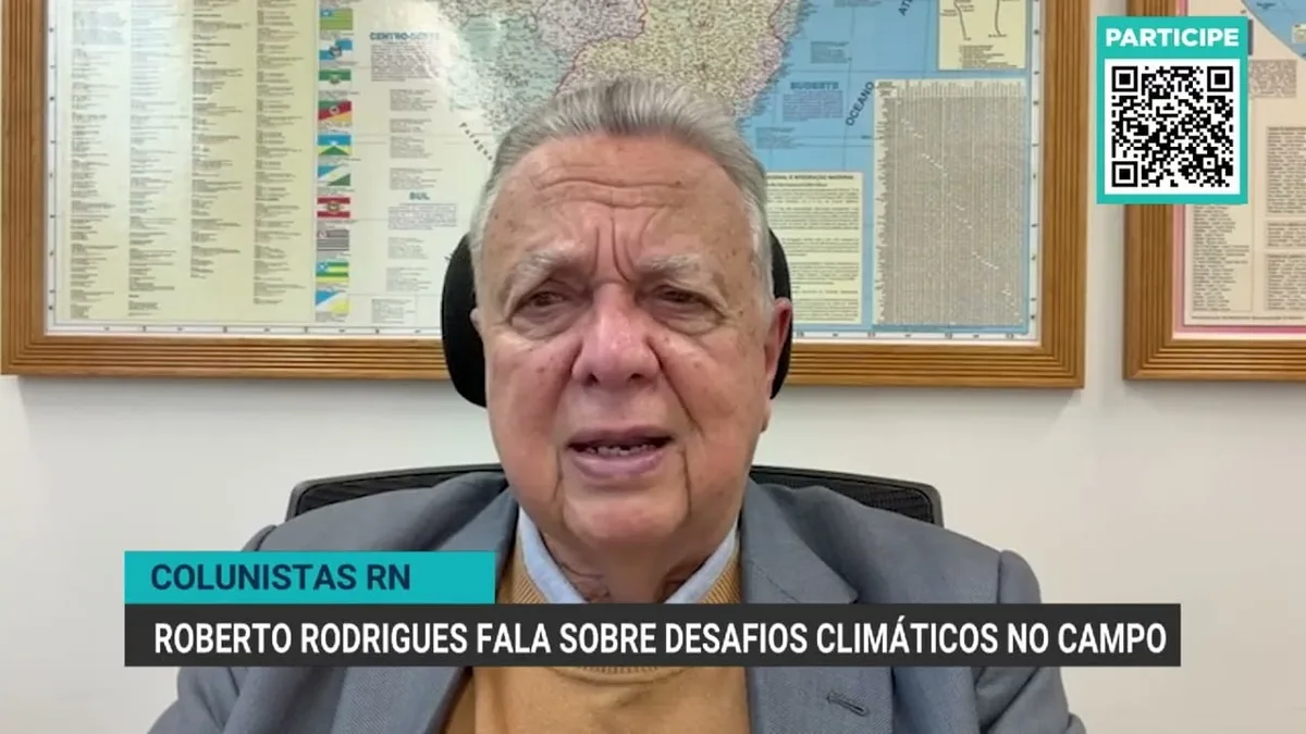 Desafios enfrentados por produtores devido a chuvas e El Niño nesta safra