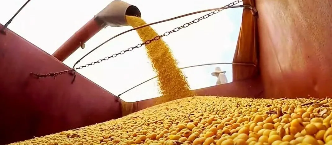 Fertilizantes na soja: onde está o ganho de eficiência? Especialista da Yara Brasil explica