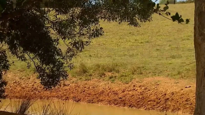 Woman and child found dead in car in dam