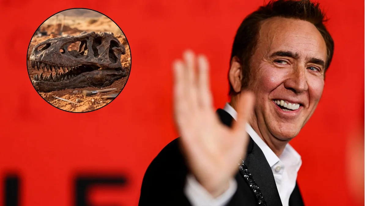 Nicolas Cage pagó US$276.000 por un cráneo de dinosaurio de 67.000.000 de años y terminó envuelto en una insólita polémica