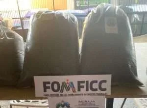 Mérida produce abono orgánico para regenerar 40 ha de suelos