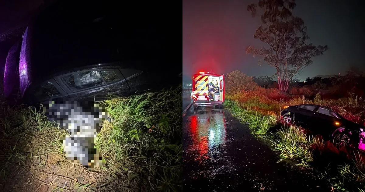 Bezerro surge na pista, provoca freada brusca e termina morto após colisão entre carros e caminhão na BR-470 em SC