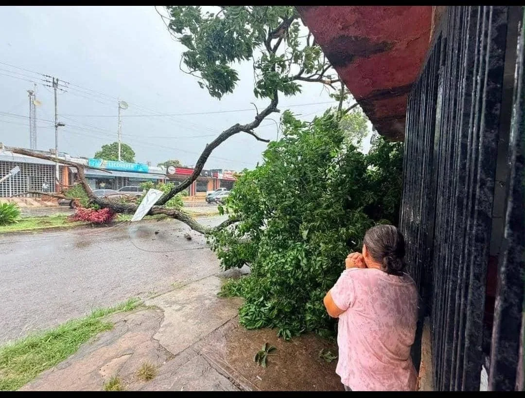 Fuertes vientos derribaron árboles y postes, dejando sin luz a varios sectores de Maturín (IMÁGENES)