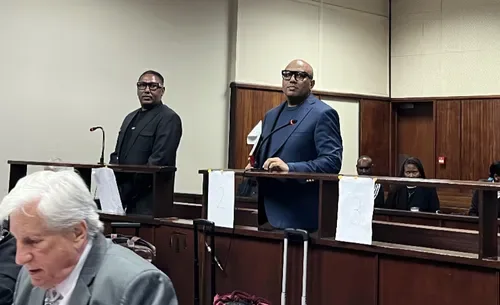 Govender brothers trial: Eyewitness testifies about a bald man with a firearm