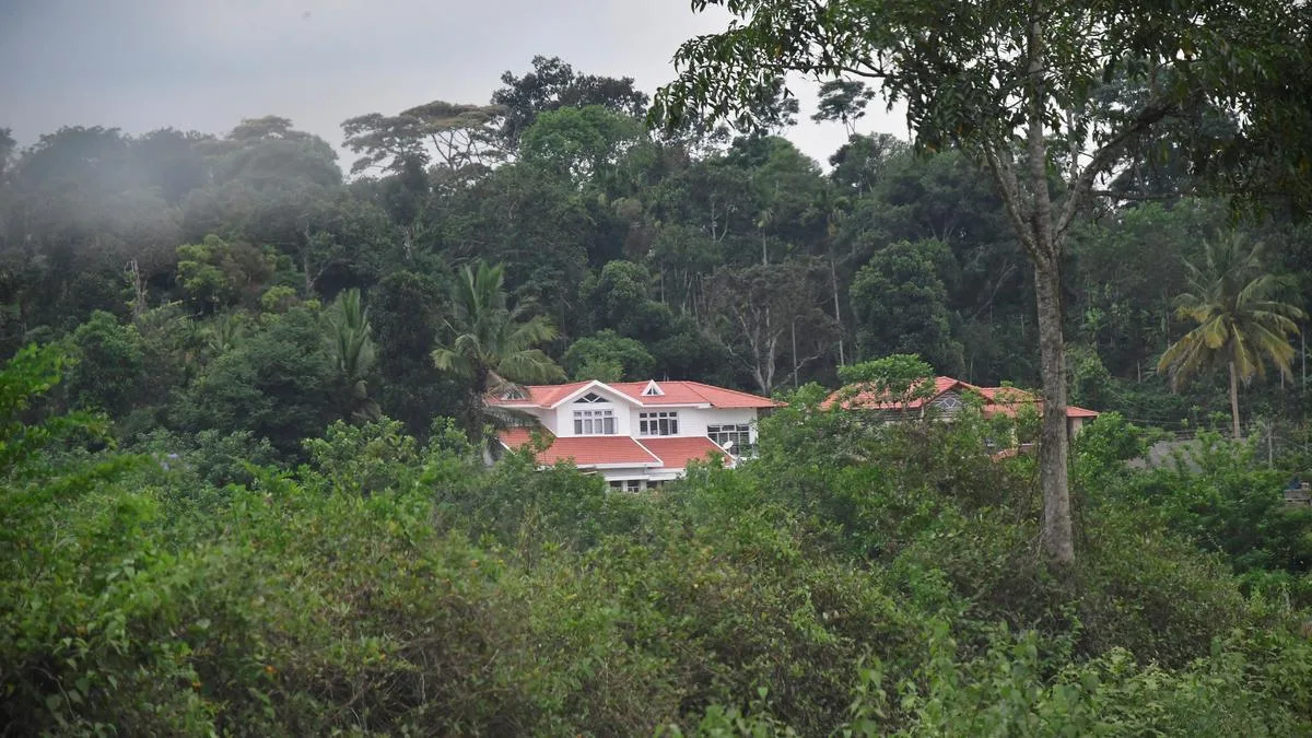 Dasara rush: 50% homestays and hotels in Kodagu, Chikkamagalur booked