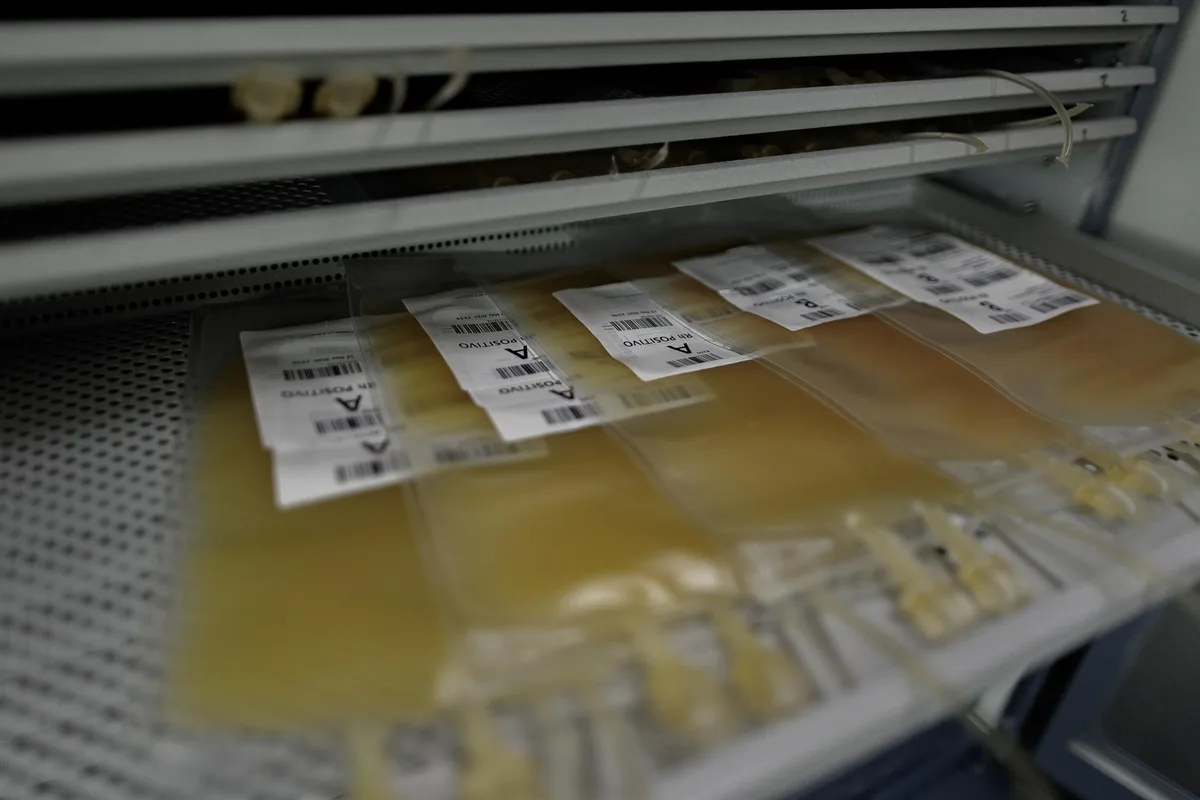 Un estudio demuestra que las plaquetas refrigeradas hasta tres semanas mantienen su eficacia