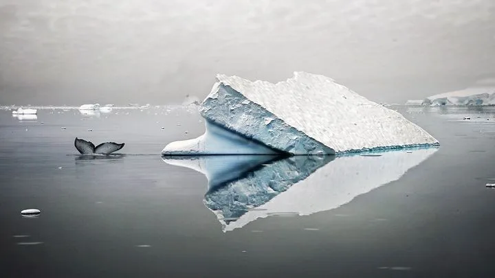 Être l'œil d'un monde qui fond : grand entretien avec l'artiste photographe Férial