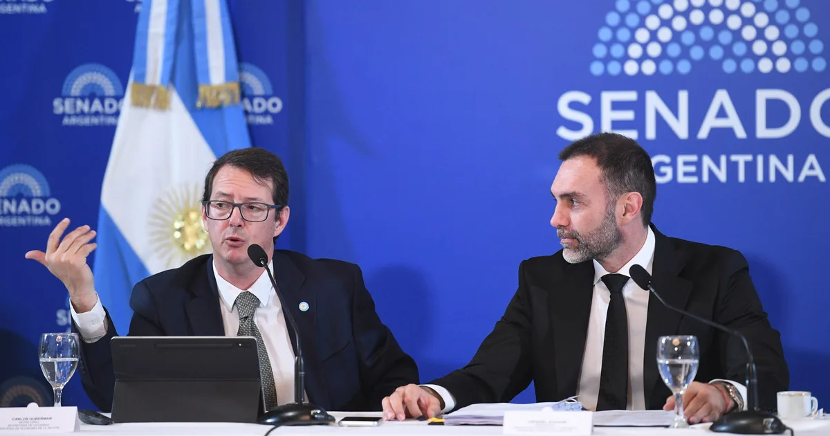 Se dilata en el Senado el debate sobre el Súper RIGI y el Gobierno busca contener el voto de los aliados