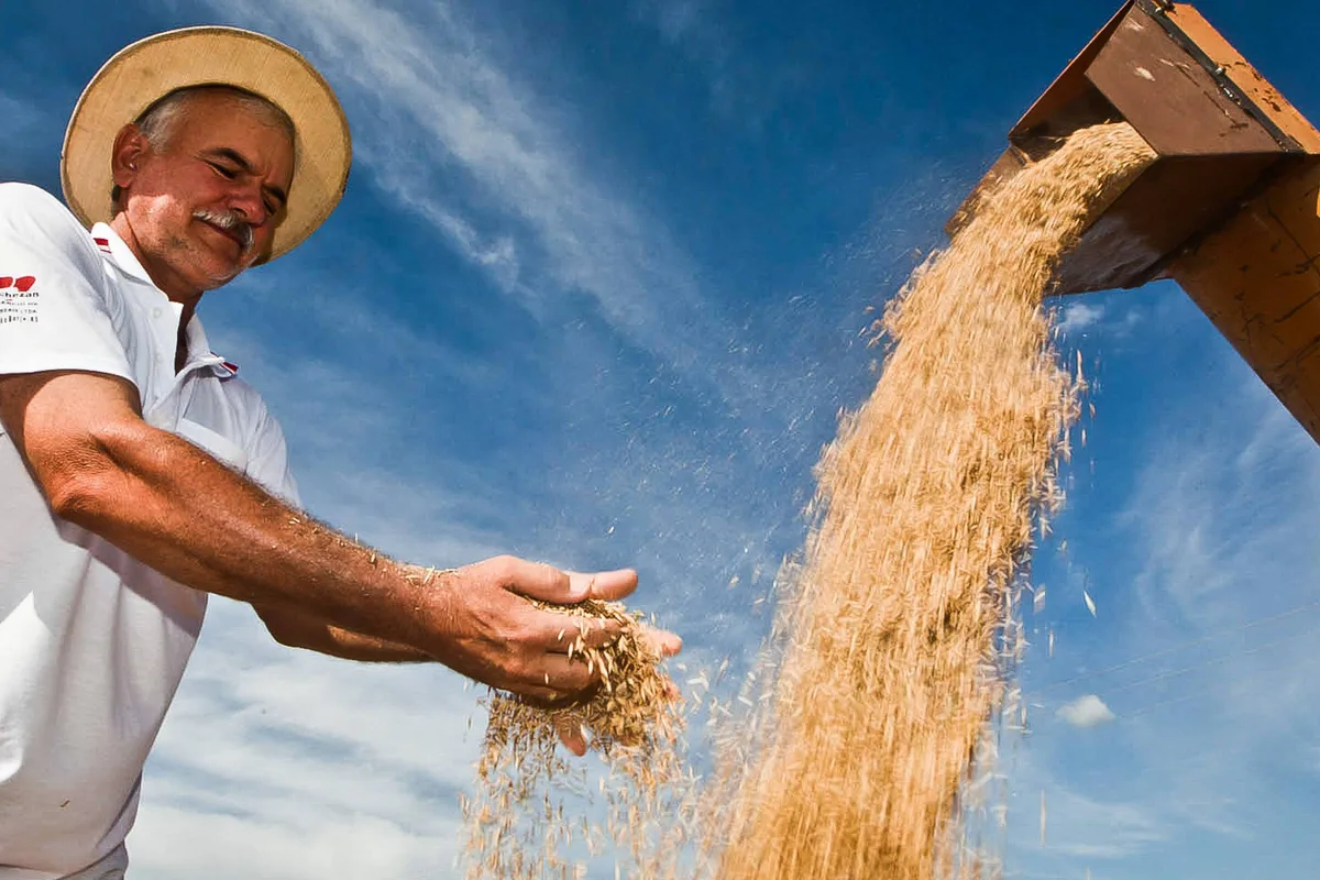 Mais uma safra recorde em 2027 e nova queda de alimentos básicos