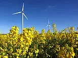 Britons support efforts to use more renewable energy - but question its effectiveness in bringing down bills
