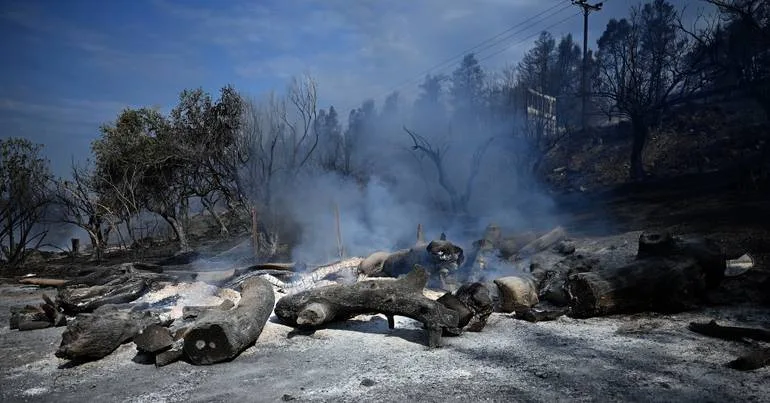 Incêndios na ilha grega de Salamina provocam dois mortos