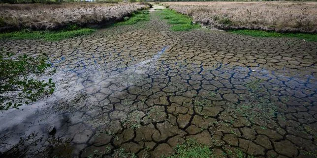 Canicule : plus de 800 morts « en excès » en France entre le 27 juillet et le 20 août