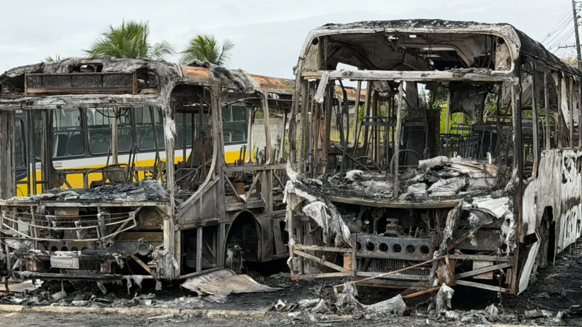 Dois ônibus são destruídos por incêndio em Sooretama; vídeo e fotos