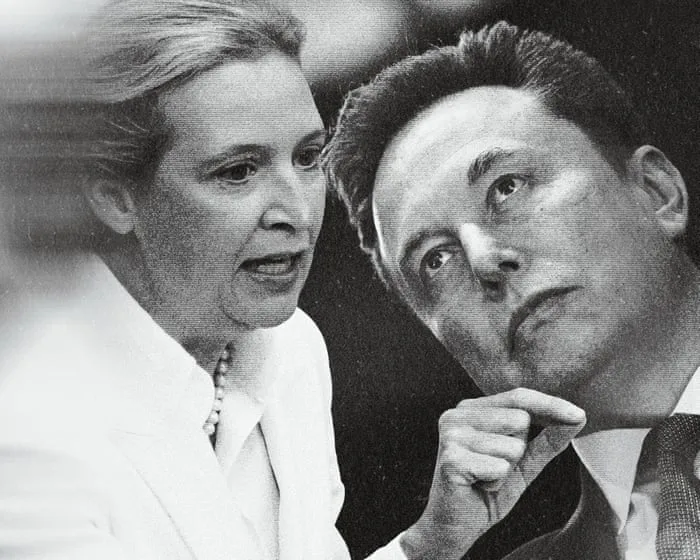 The AfD won a shock election in Germany. Elon Musk was thrilled