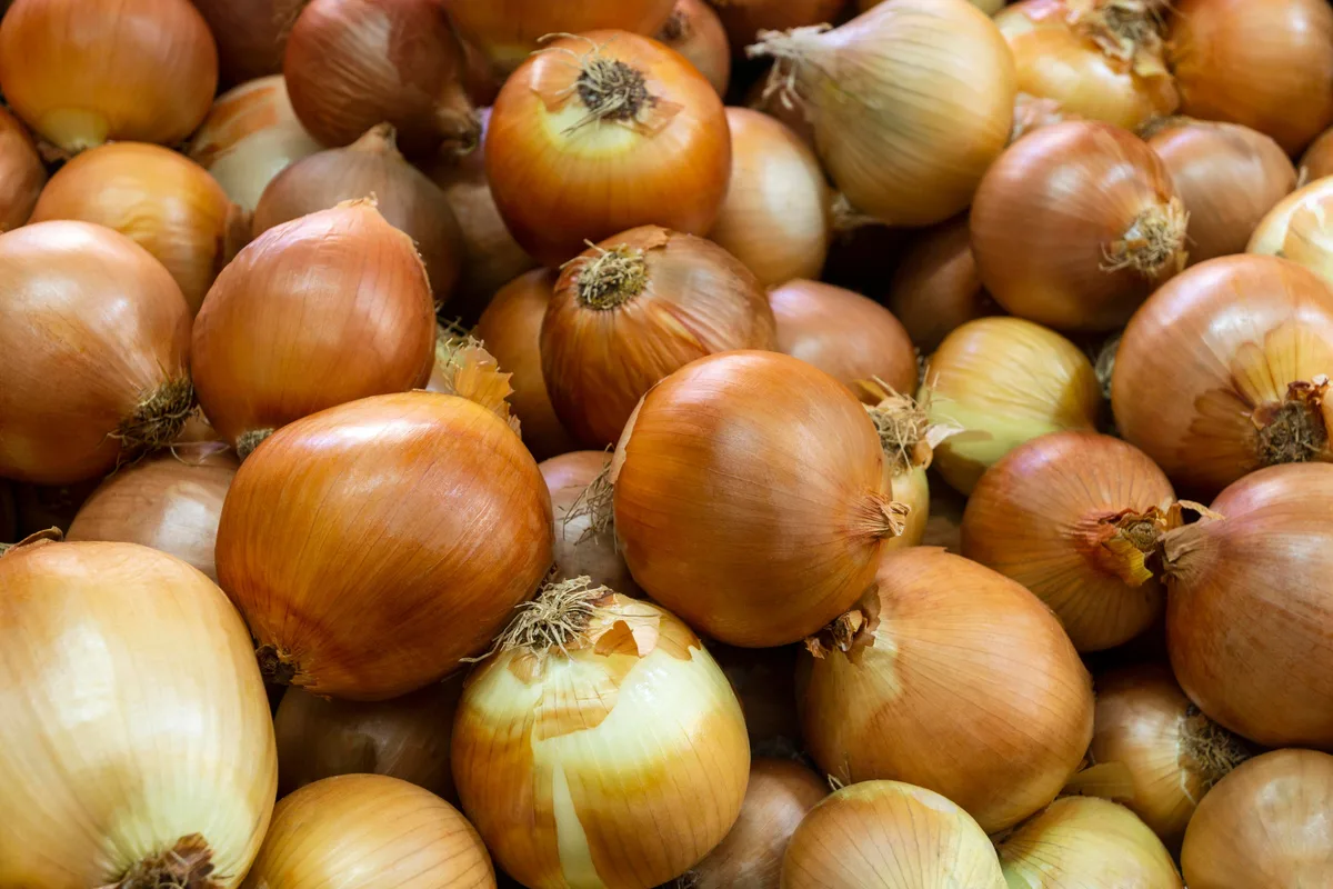 Combo explosivo: por qué el precio de la cebolla se disparó un 42,7%