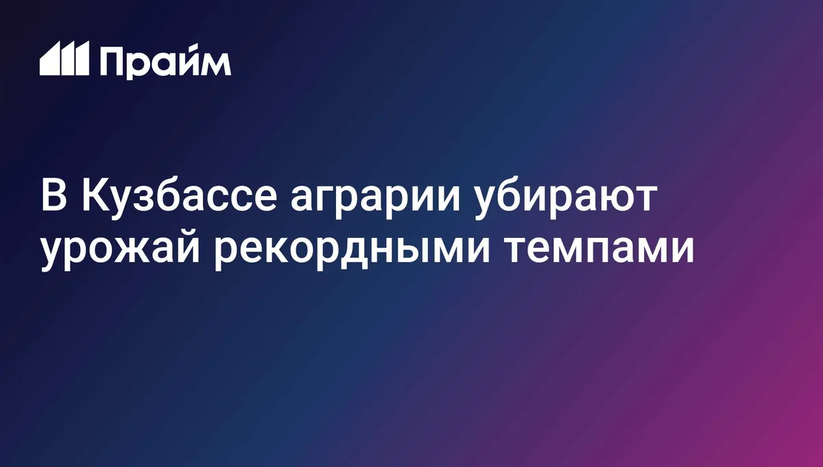В Кузбассе аграрии убирают урожай рекордными темпами