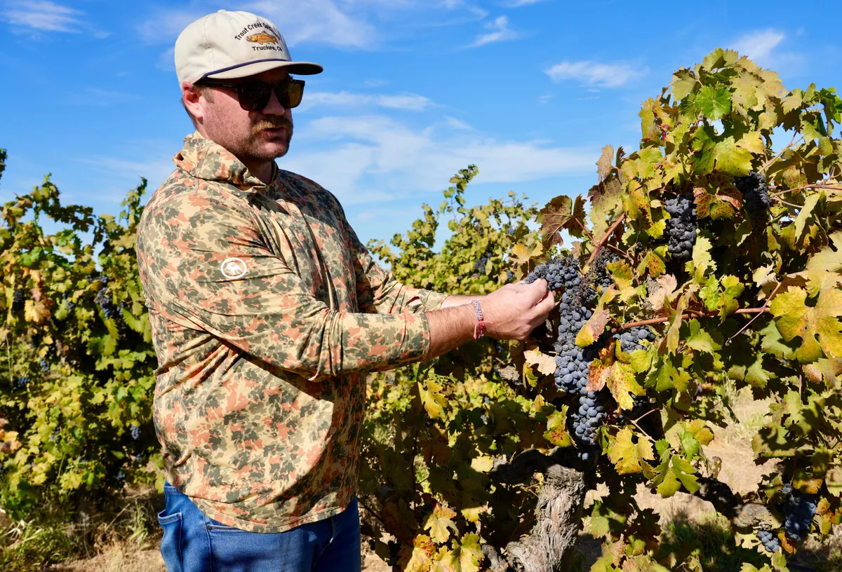 Desplome de las ventas de vino en todo el mundo golpea a los productores de uva en California