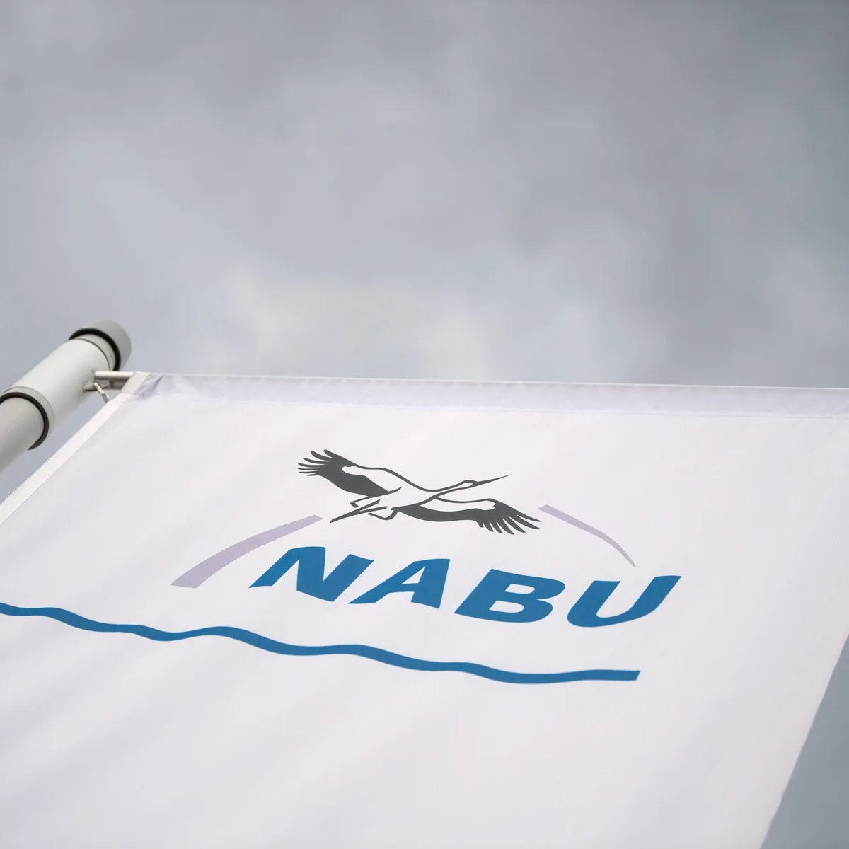 NABU-Jahresbericht - Naturschutzbund meldet große Erfolge bei Renaturierung von Flüssen und Mooren in Deutschland