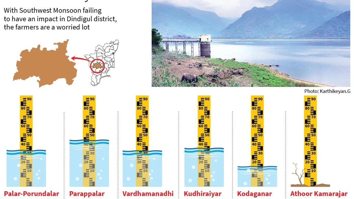 Dindigul farmers a apprehensive lot as storage levels in dams dips