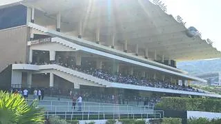 Este es el cuadro sugerido de bajo costo para el 5y6 nacional del domingo en La Rinconada