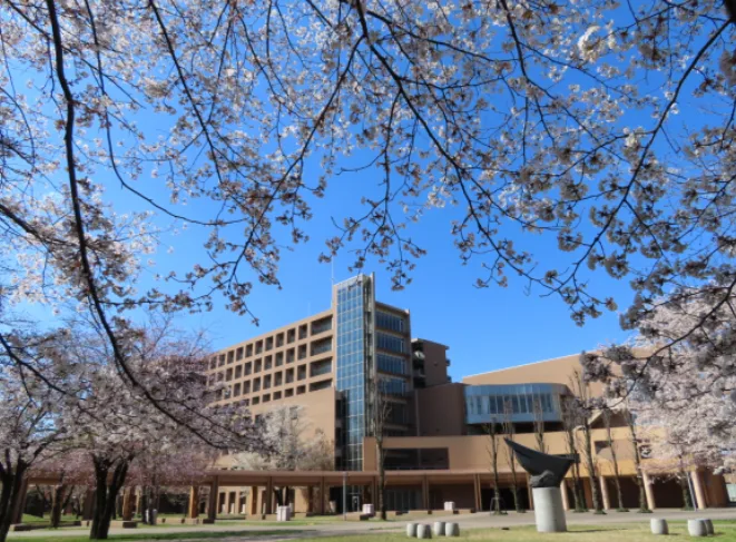 Quer estudar no Japão? Feira reúne 8 universidades e tira dúvidas no Rio