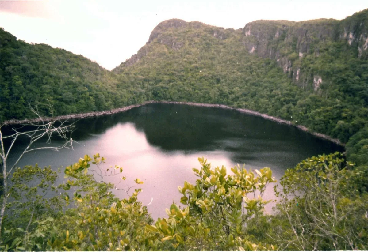 Con sello venezolano: El enigma guyanés detrás del Lago Leopoldo