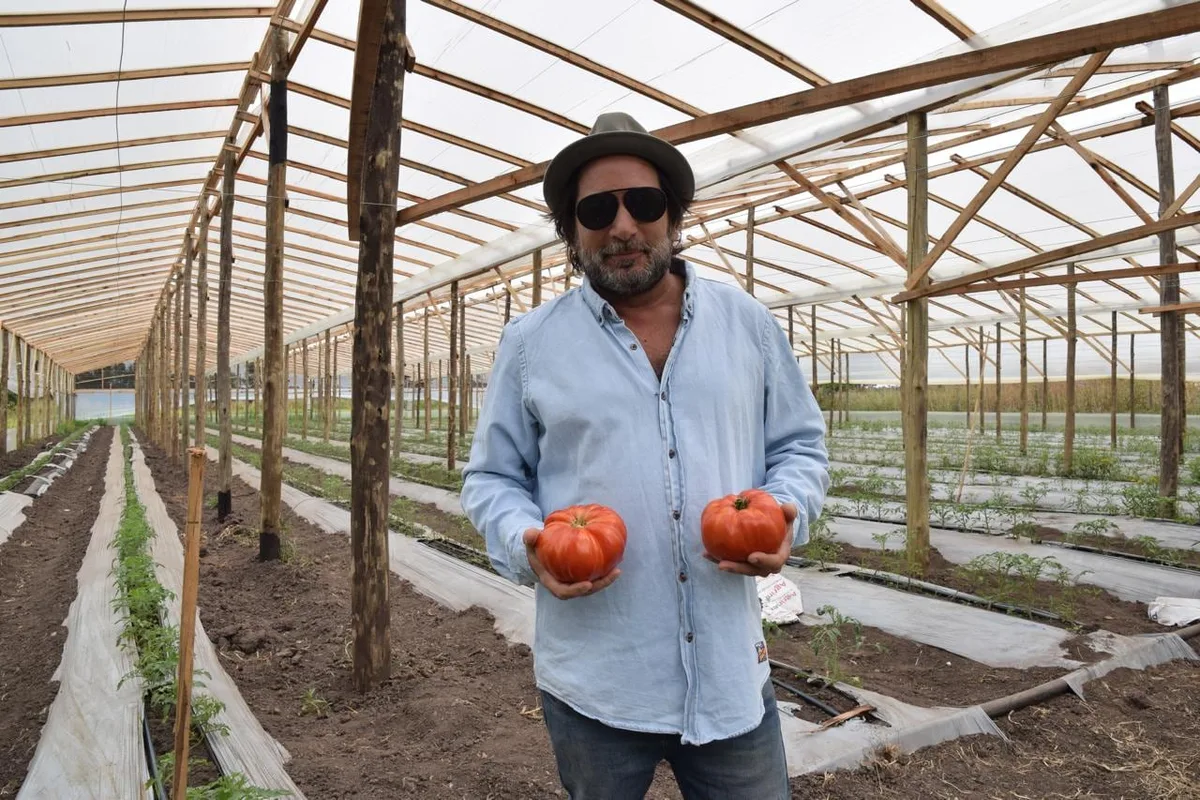 “El rey del tomate”: se recibió de abogado, trabajó como modelo y productor de eventos, pero encontró su lugar en una quinta de La Plata