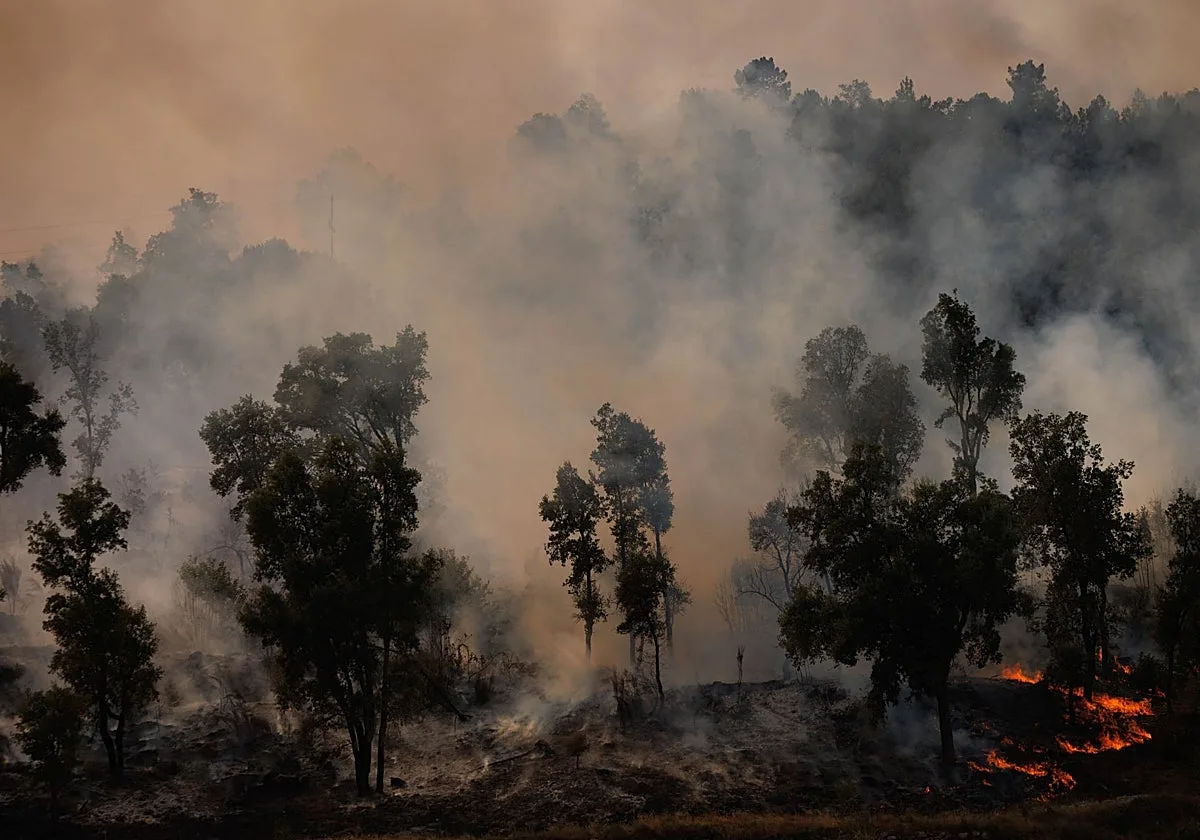 La calidad del aire empeora en Orense por el humo de los incendios de Portugal