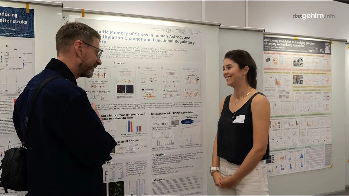 Justina Lugenbühl über Depression, Stress und Astrozyten