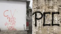 Análise: Negligência com dados de Juntas Comerciais blinda crime organizado