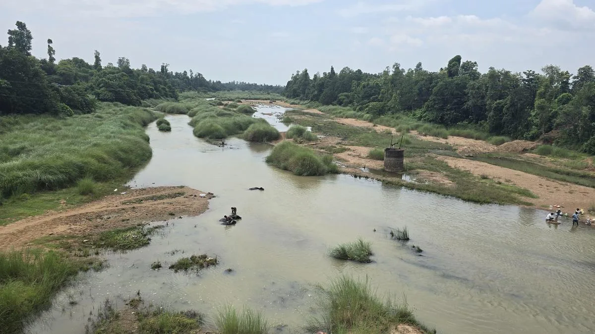 Agriculture activity picked up in Parvatipuram-Manyam district