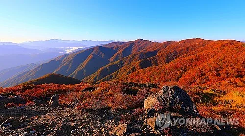 [내주날씨] 주초 비온 뒤 찬 공기 유입…아침 최저 4도 '쌀쌀'