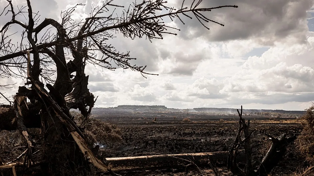 Europa sofre com fenómenos extremos: fogos, cheias e tempestades obrigam milhares a evacuar