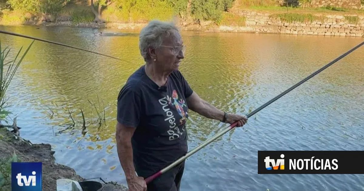 Mondego está praticamente seco em alguns pontos. Situação preocupa população