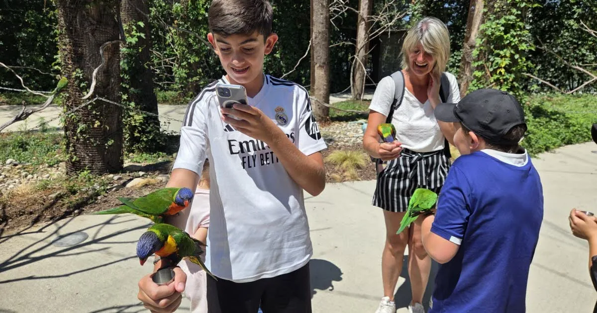Ain. « Ils nous ont pris pour des perchoirs ! » : une journée au Parc des oiseaux à hauteur d'enfant