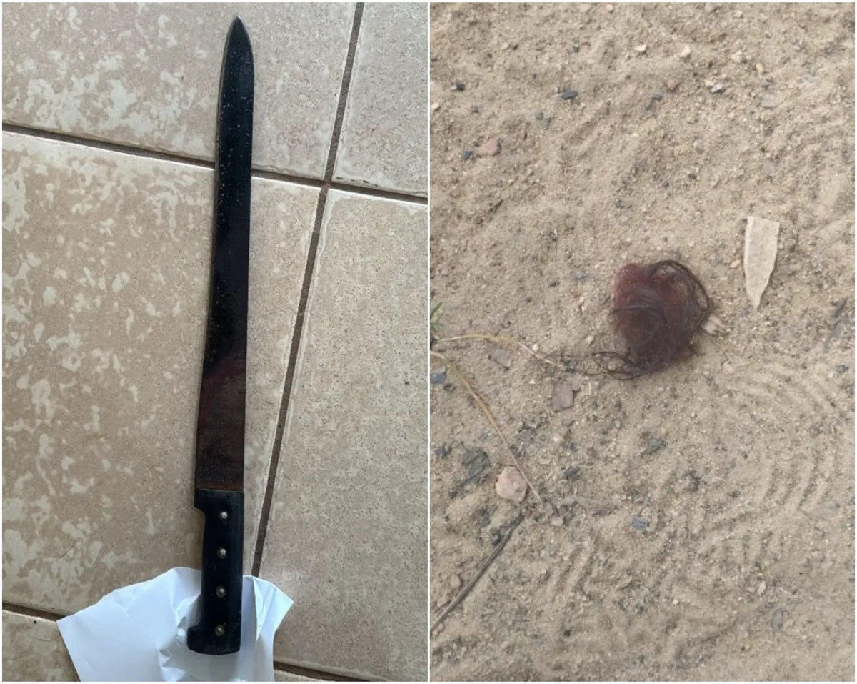 Homem é condenado a 21 anos por tentar matar mulher com golpes de facão em Rorainópolis