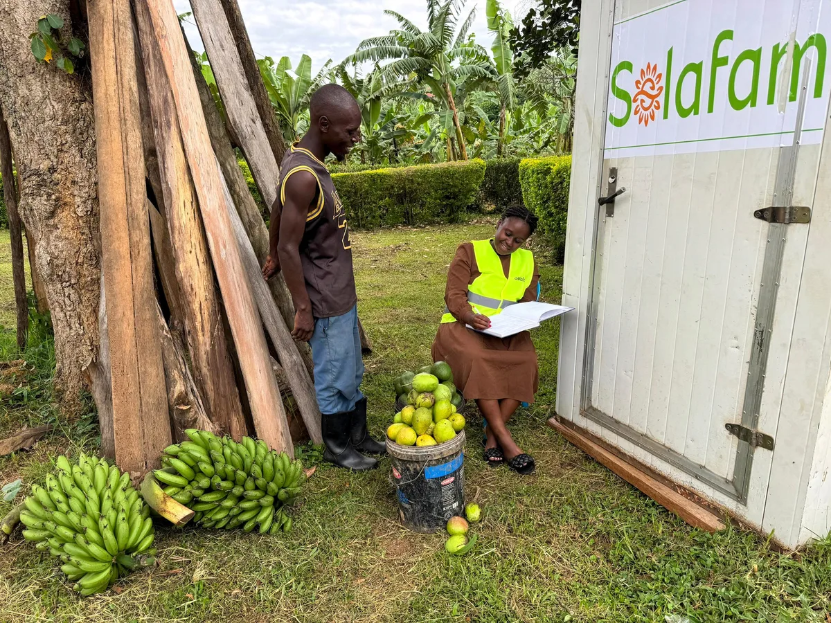 AFRICAN INNOVATION: The sweet lessons of a family’s rotten tomatoes