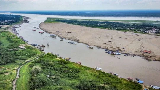 El Niño: Organizaciones ambientales advirtieron por la deforestación del Amazonas y el aumento del riesgo para Brasil y la región