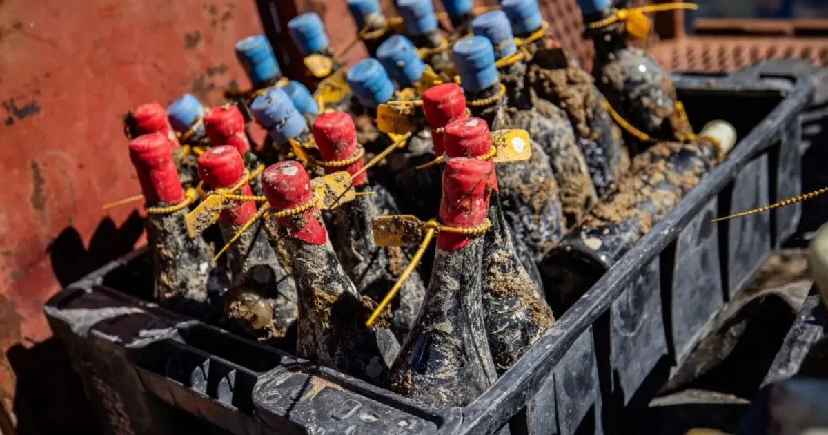 Vinos bajo el mar en Río Negro: cómo participar de la nueva etapa de las cavas submarinas