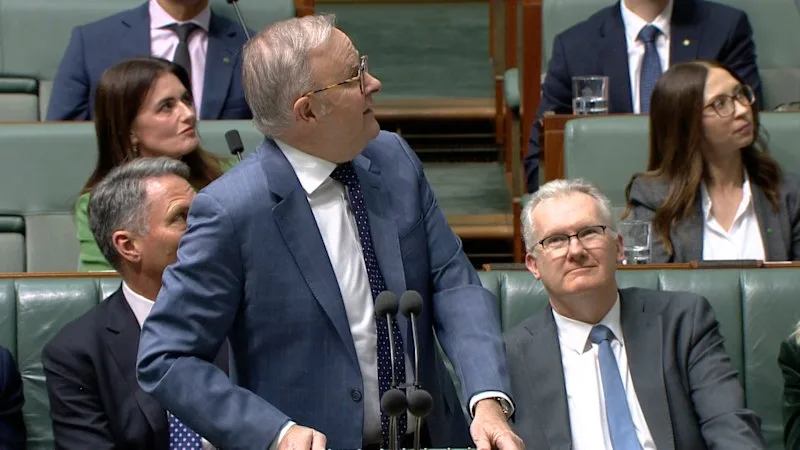 ‘He has taught us so much’: Albanese salutes departing Tony Wright