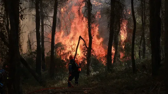Autarca de Torre de Moncorvo espera ter fogo dominado durante a noite