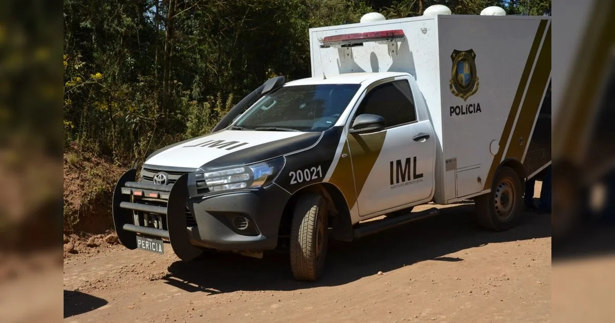 Cinco crânios humanos são encontrados em estrada rural entre Ibiporã e Londrina (PR)