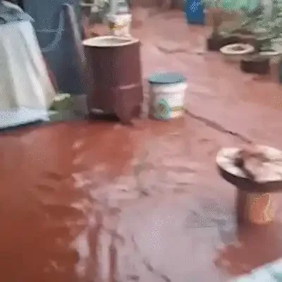Chuva supera 100 mm, invade casa e deixa ruas alagadas em Rio Brilhante
