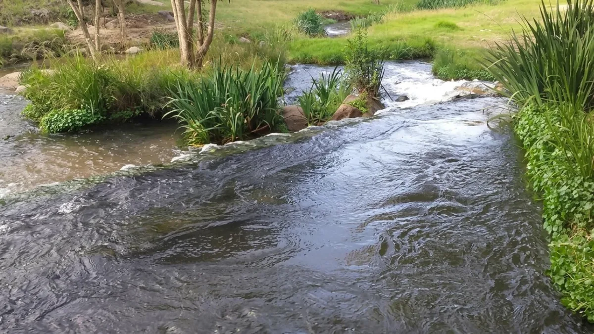 La ciudad de Córdoba con río, naturaleza y cabalgatas que queda a 87 kilómetros de la capital, ideal para ir este feriado