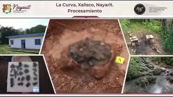 CNB envía equipo especializado tras hallazgo de presunto centro de exterminio en Nayarit