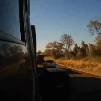 Invasão de pista provoca acidente com explosão e 4 mortes na BR-163