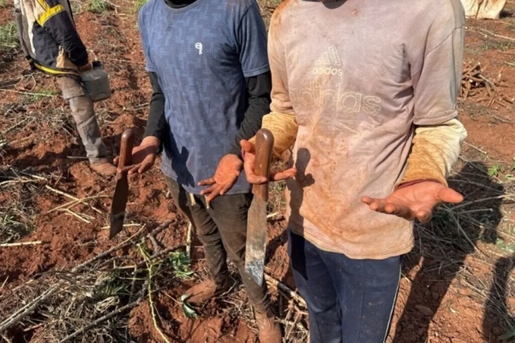 Fazendas de MS vão pagar R$ 1,7 milhão em danos morais por trabalho escravo